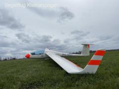 Std. Cirrus - winglets - competition ready - blue tinted canopy