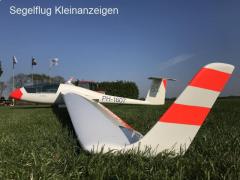 Std. Cirrus - winglets - competition ready - blue tinted canopy