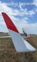 ASW24 WL (MH2 & Original Winglets)