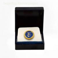 GLIDING BADGES - SPECIAL OFFER