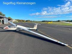 STANDARD CIRRUS G 81 mit Anhänger 