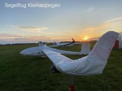 Std. Cirrus - Winglets - Blue tinted canopy