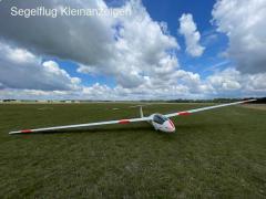 Standard Cirrus + Cobra Anhänger