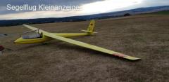 Elfe S4A im Anhänger