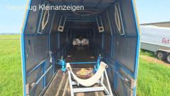 Segelflugzeuganhänger mit Einbauten für Duo Discus zu verkaufen