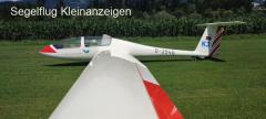 Twin-Astir mit Cobra-Anhänger