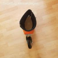 Spornkuller Libelle