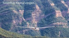 Std Libelle 201b mit ATR 8.33 Funk, garrecht xpdr und LX7000IGC