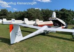 Std Cirrus (PU, Cobra, New Interior)