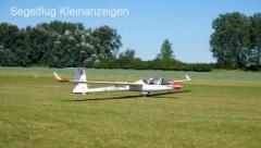 SZD-41A Jantar Std - new price
