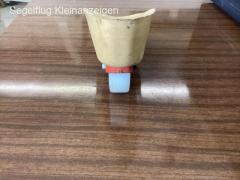 LS Rollsporn