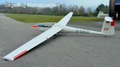 Glasflügel 304