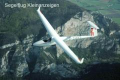 Sehr gepflegte Club-Libelle inkl. Winglets, Radabdeckung, LX S80, etc.