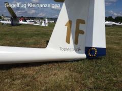 LS1-f mit Flügel-Rumpf Übergängen von DG und elektrischen Mückenputzern