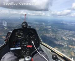 SZD-36 Cobra 15 for sale