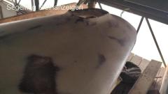 Form für Ask13 Rumpfboot