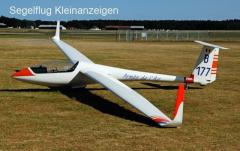 Gesucht: Winglets / Pennes for my Pegase (like on the C101-AP)