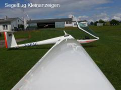 DG 808C Competition