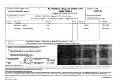 Gadringer - Gurte 2024 mit Form one