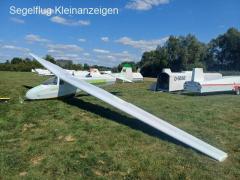 Scheibe Spatz