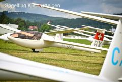 DG 300 Elan WL