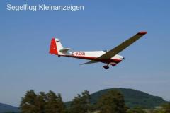Gut gewarteter Falke SF25C mit Limbach L2000EA 80 PS