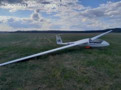 Standard Cirrus