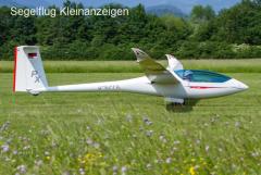 HpH Shark 304eS