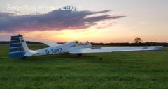 Scheibe SF-25 D "Falke"