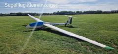 Wonderful LS6-A with cobra trailer