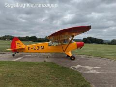 Piper PA 19