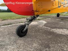 Piper PA 19