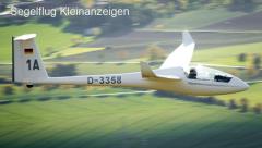 LS4 WL -mit Cobra Trailer aus Privater Hand, Wettbewerbsoptimiert mit Top-Performance