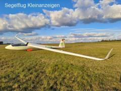 LS1-f neo winglets - competition ready