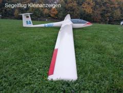 Glasflügel 304