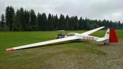 Bergfalke IV