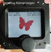 Butterflydisplay 57
