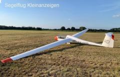 Std Cirrus (PU paint, Cobra trailer)