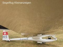 DG-300 ELAN (wenige Stunden, unfallfrei, Transponder, Schroeder Anhänger)