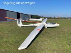 Pegase C101A (Beringer Bremse, Transponder)