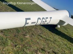 Pegase C101A (Beringer Bremse, Transponder)