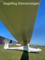 Pegase C101A (Beringer Bremse, Transponder)