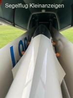 Std. Libelle H-201b with Alu Cobra 