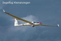 LS4b NEO club class monster 'S4'