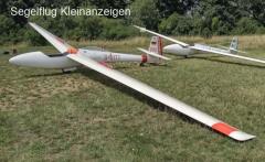 Standard Libelle 201b