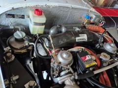 Black Friday Angebot - WT9 100PS 89.000€