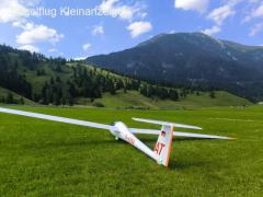 Discus b, PU-Lack, Openvario, Cobra