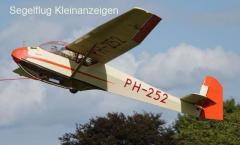 Schleicher Rhönlerche 2  - Preis verhandelbar!