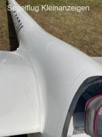 DG-300 ELAN (wenige Stunden, unfallfrei, Transponder, Schroeder Anhänger)