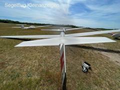 DG-300 ELAN (wenige Stunden, unfallfrei, Transponder, Schroeder Anhänger)